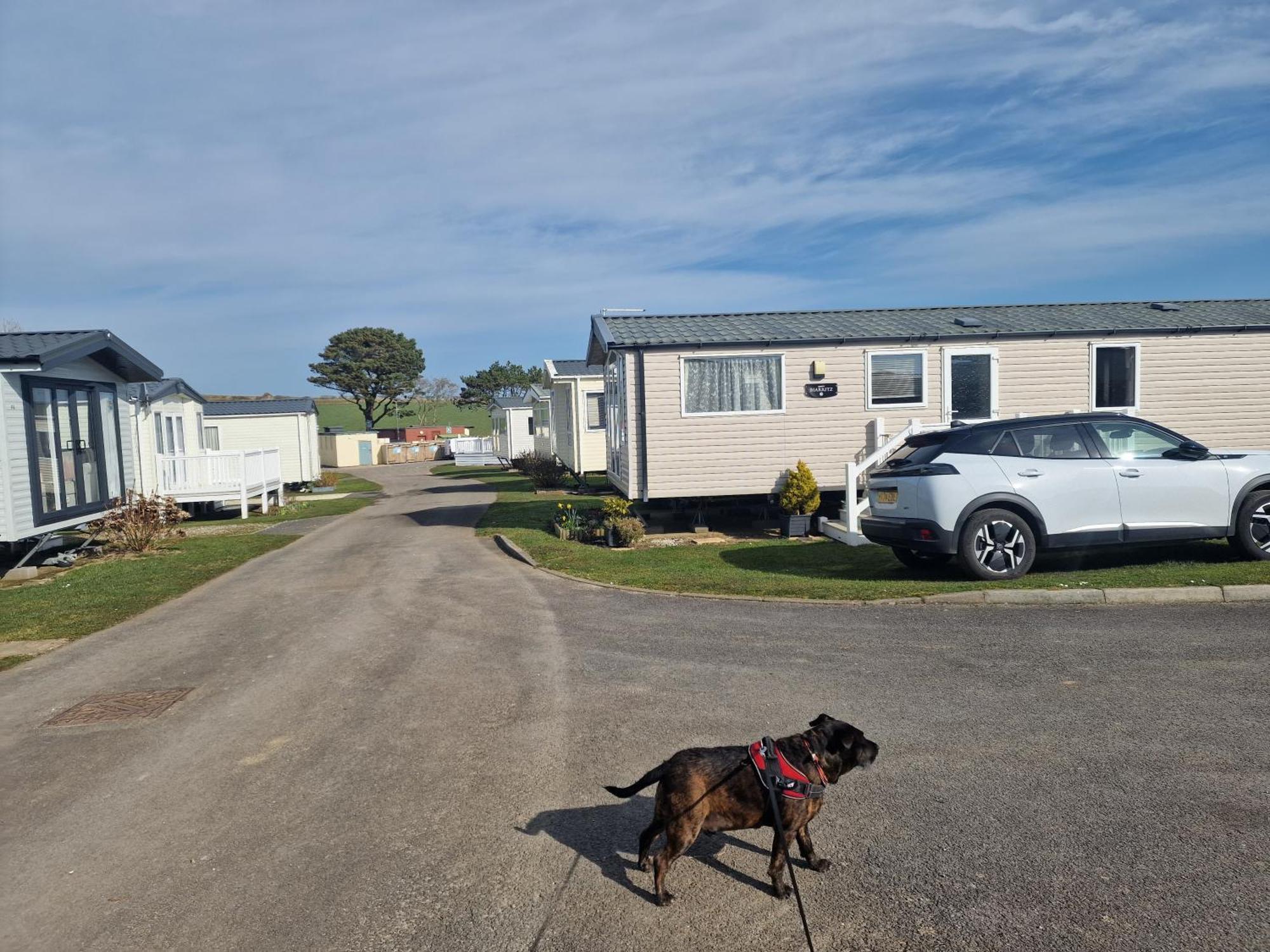 Durdlee Door, D27, Main Rd, West Lulworth, Wareham Bh20 5Pu Hotel Exterior photo